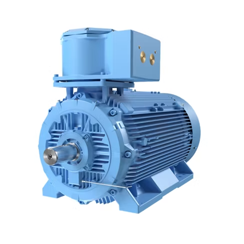 Crusher Duty Motor Supplier