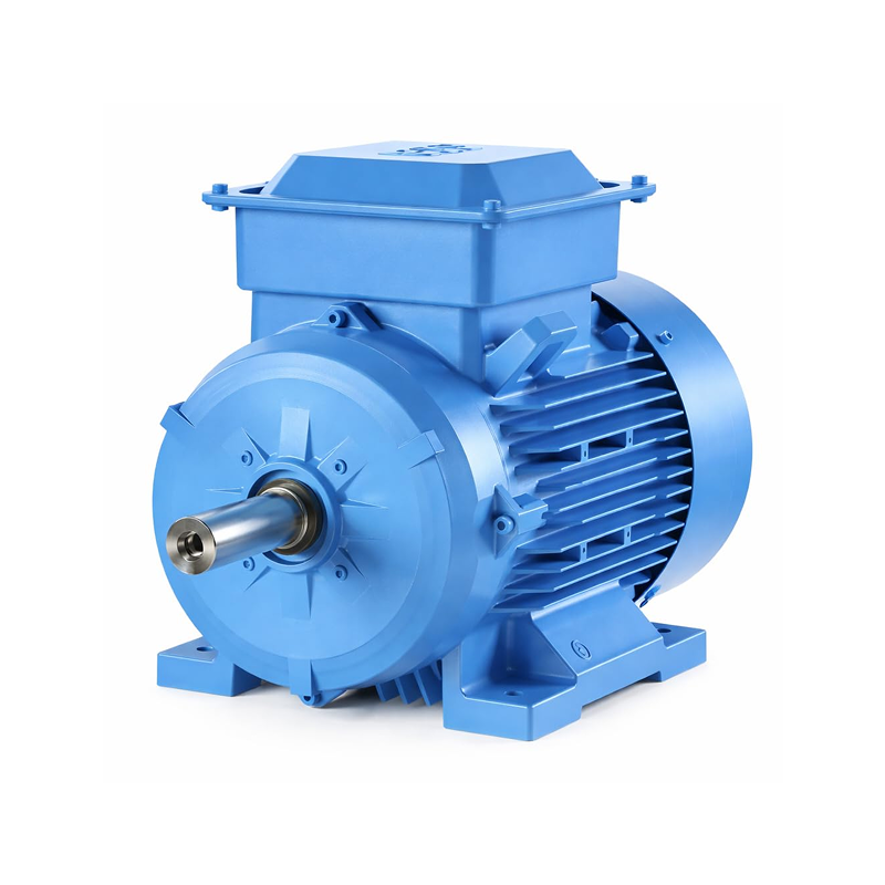 ABB IE2 Motor Supplier