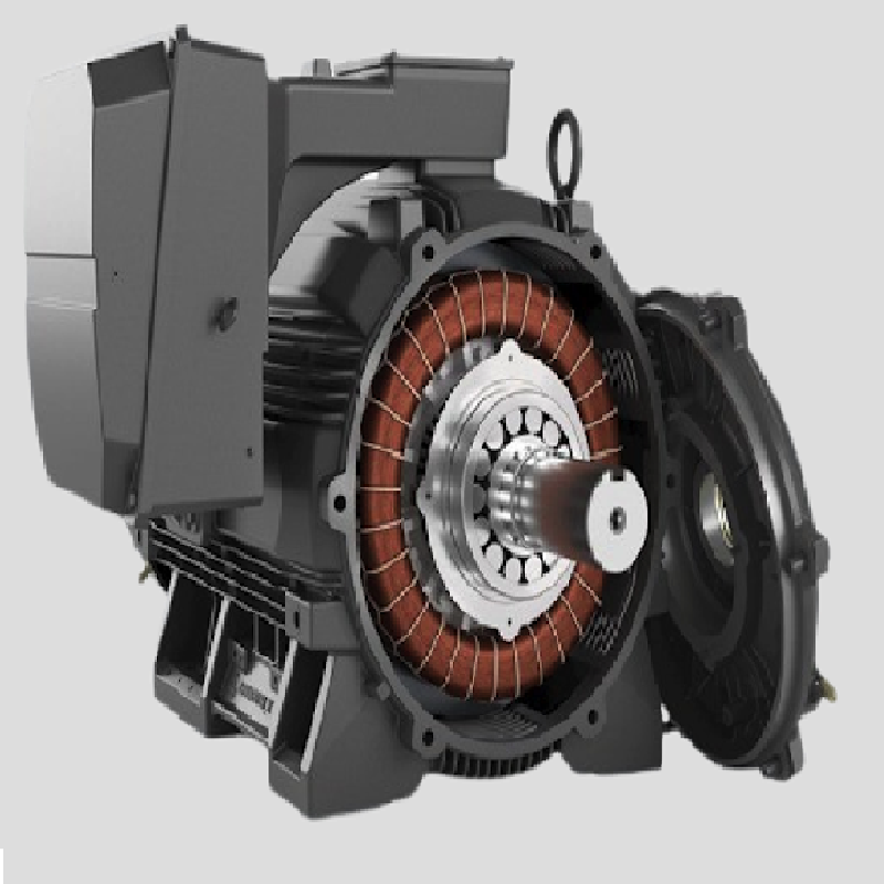 ABB Crusher Duty Motor Supplier