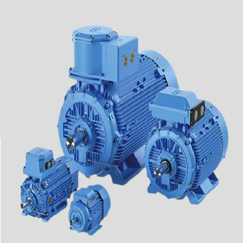 Crusher Duty Motor Supplier