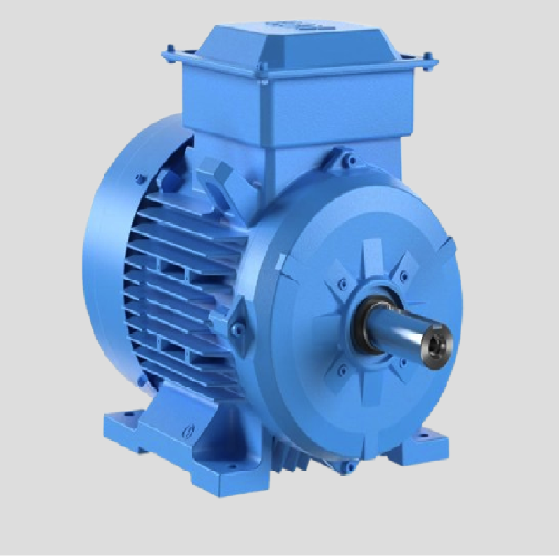 Bharat Bijlee IE2 Motor