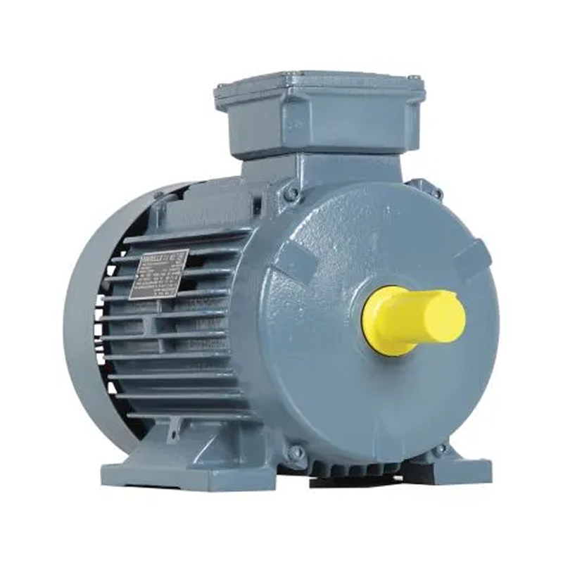 Havells IE2 Motors supplier