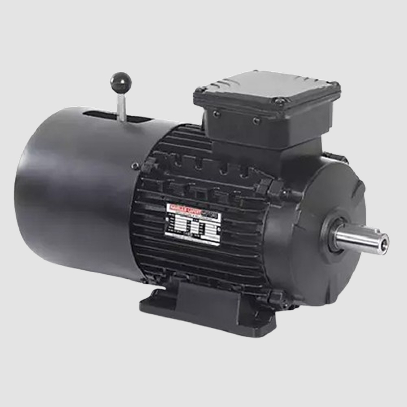 Havells Crane Duty Motor